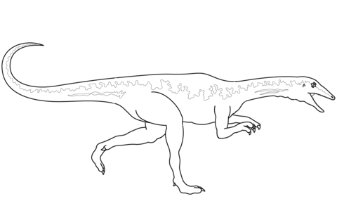 Dinosaur Velociraptor  Coloring Page